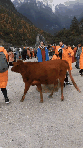 罗 牛 山：截至2025年12月31日，公司尚未结清的短期借款和长期借款主要用于除房地产开发以外的其他主营业务板块