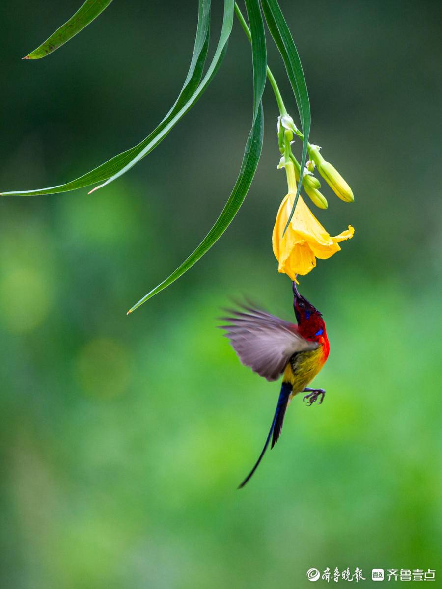 立方风控鸟·晚报（4月29日）