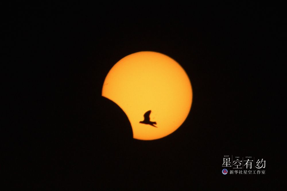 星空有约丨5月“满月双黄蛋” 2日迎来第一场