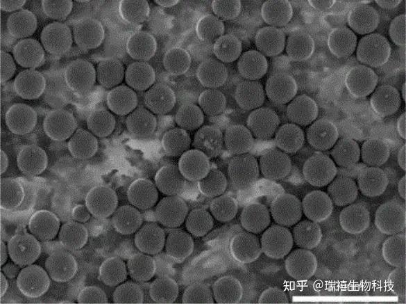 中国石化获得发明专利授权：“一种石墨的氧化方法及其用途”