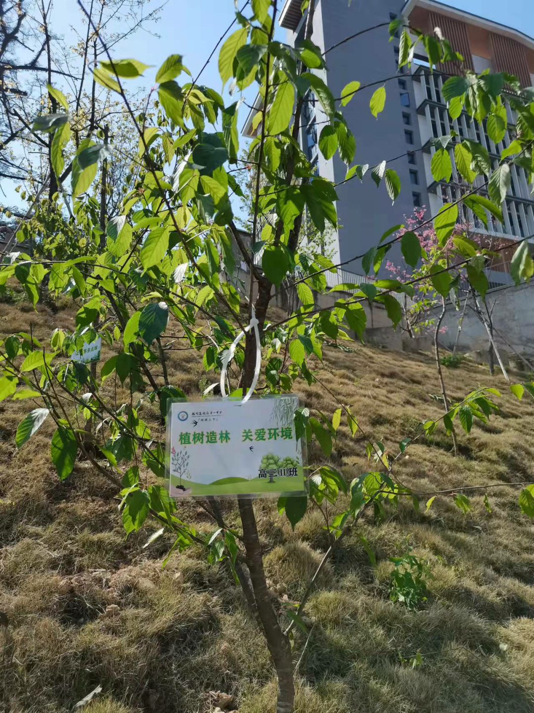城市的绿色未来什么样？全国10万小学生正在亲手创造